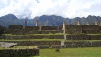 /album/machu-pichu/fotos-daviagem-251-jpg/